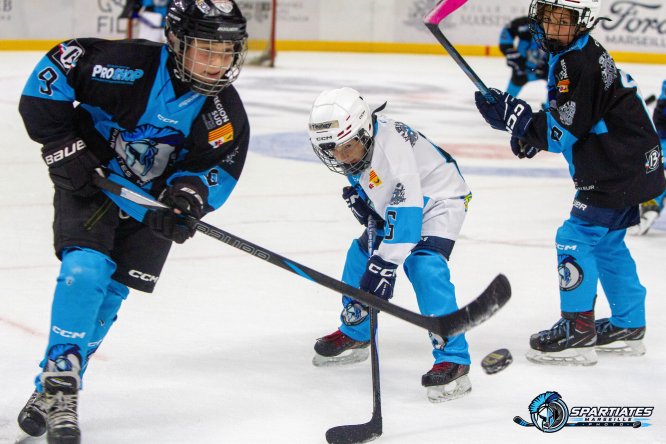 🏒 U11 : une reprise en beauté au Temple !